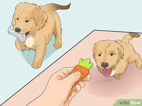 Imagen titulada Introduce a New Puppy Step 11