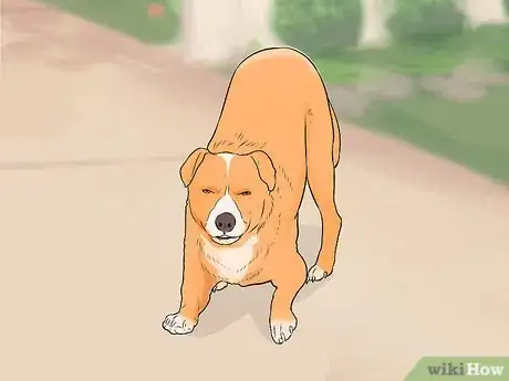 Imagen titulada Tell if a Dog Is Going to Attack Step 9