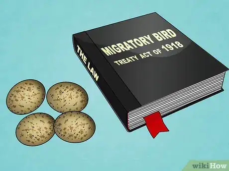 Imagen titulada Find and Take Care of Wild Bird Eggs Step 1