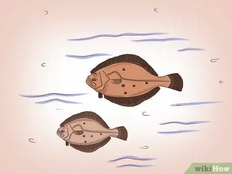 Imagen titulada Fish for Flounder Step 3
