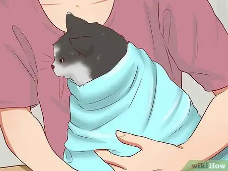 Imagen titulada Open a Cat's Mouth Step 4