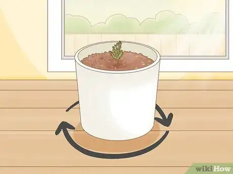 Imagen titulada Plant a Seed in a Pot Step 9