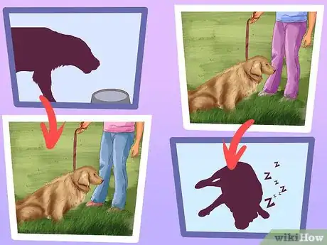 Imagen titulada Be a Responsible Dog Owner Step 10