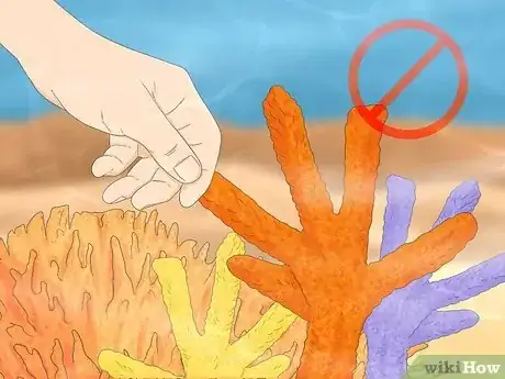Imagen titulada Protect Coral Reefs Step 1