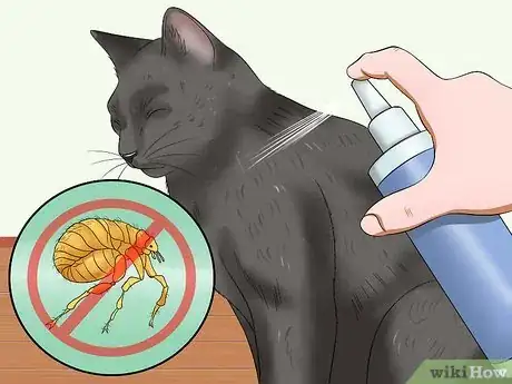 Imagen titulada Stop a Cat from Pulling Its Hair Out Step 9