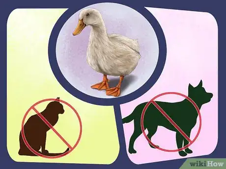Imagen titulada Attract Ducks Step 10