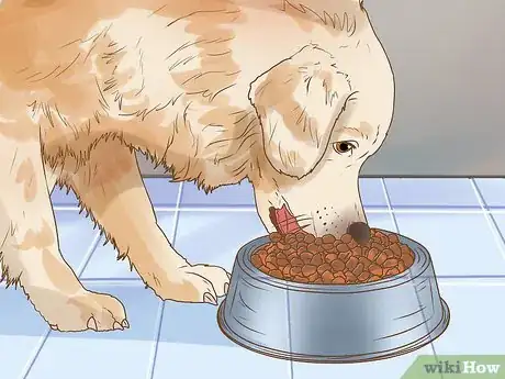 Imagen titulada Encourage a Mother Dog to Feed Her Litter Step 9