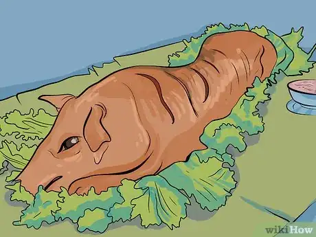 Imagen titulada Cook a Whole Pig Step 12