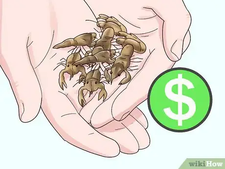 Imagen titulada Create Lobster Farms Step 9
