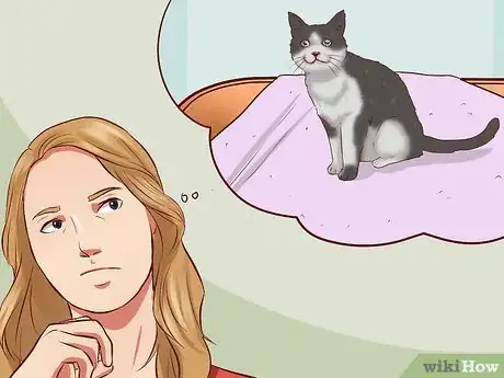 Imagen titulada Open a Cat's Mouth Step 2