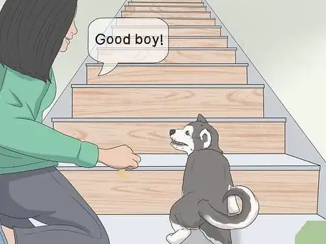 Imagen titulada Train a Scared Dog to Go Down the Stairs Step 8