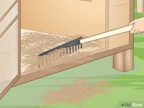 Imagen titulada Prevent Diseases in Chickens Step 1