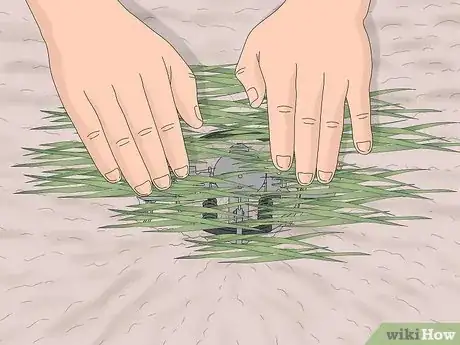 Imagen titulada Make a Coyote Trap Step 12