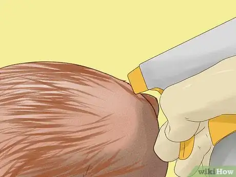 Imagen titulada Keep Pet Rabbits Cool During the Summer Step 5