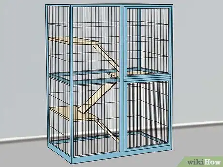 Imagen titulada Keep a Single Ferret Happy Step 11