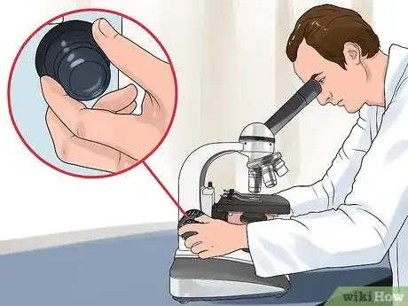 Imagen titulada Use a Compound Microscope Step 10