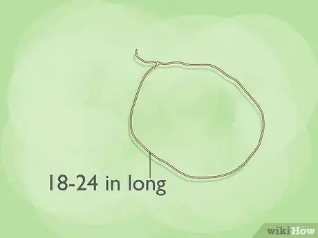 Imagen titulada Trap a Rabbit Step 16