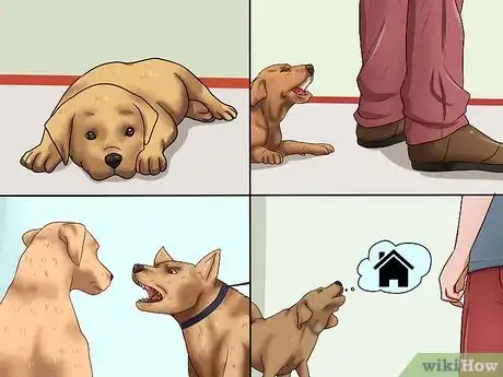 Imagen titulada Train Dogs Not to Bark Step 8