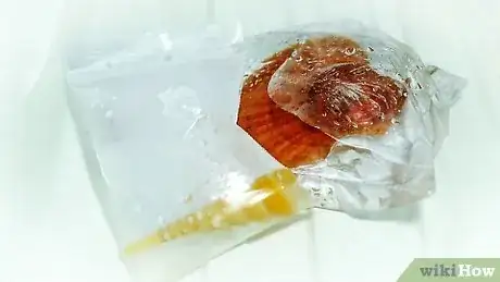 Imagen titulada Clean and Polish Seashells Step 6