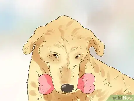 Imagen titulada Deal with Clinginess in Older Dogs Step 9