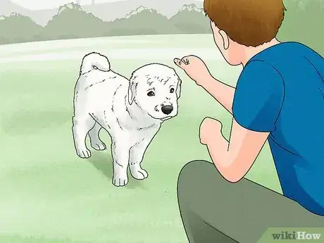 Imagen titulada Train a Dog Step 1
