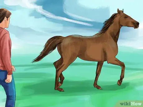 Imagen titulada Treat a Hoof Abscess in Horses Step 1