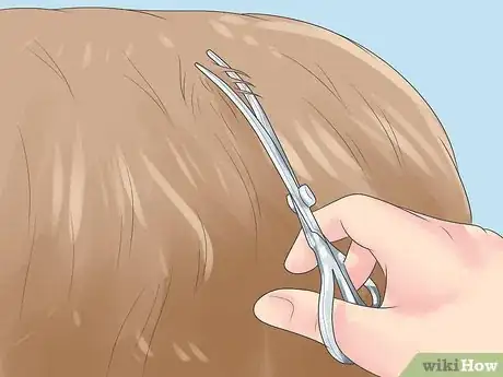 Imagen titulada Treat Dog Bite Wounds on Dogs Step 9
