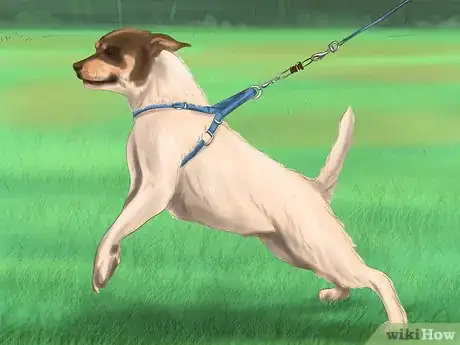 Imagen titulada Calm Down a Playful Large Dog Step 7