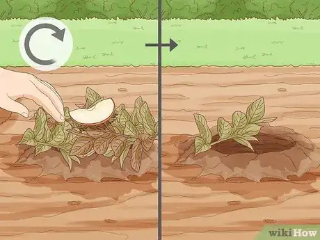 Imagen titulada Trap a Rabbit Step 11