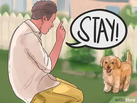 Imagen titulada Train Goldendoodles Step 16