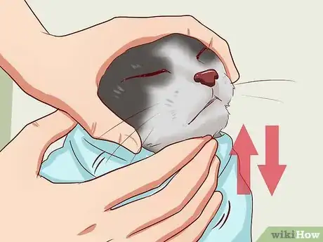 Imagen titulada Open a Cat's Mouth Step 8