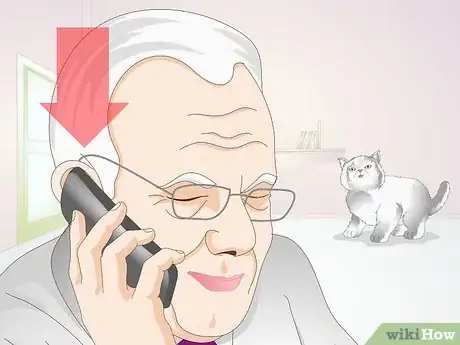 Imagen titulada Castrate a Cat Step 1