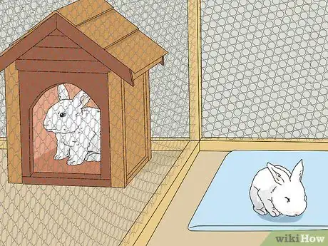 Imagen titulada Tell if Your Rabbit Has Weepy Eye Step 13