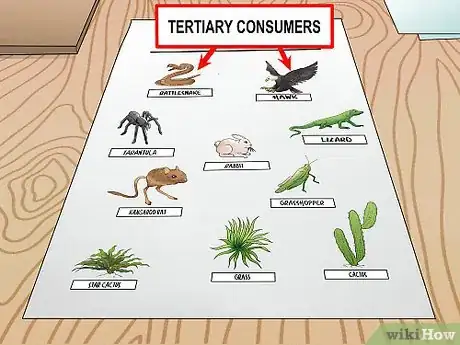 Imagen titulada Draw a Food Web Step 9