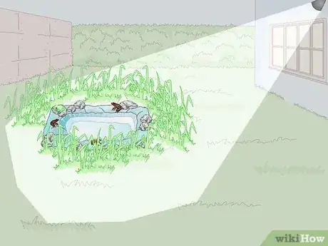 Imagen titulada Attract Frogs Step 18