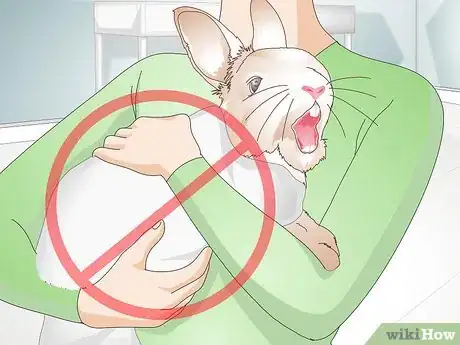Imagen titulada Trim Rabbit Toenails Step 7
