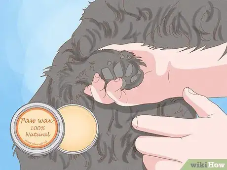 Imagen titulada Stop a Dog from Licking Its Paws with Home Remedies Step 11