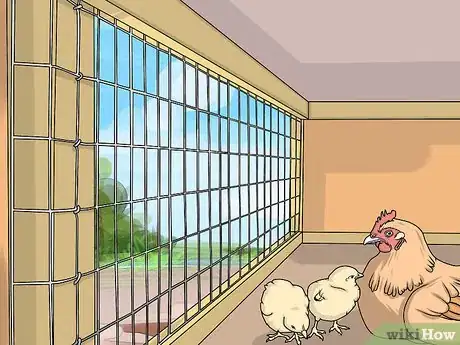 Imagen titulada Take Care of Chickens Step 15