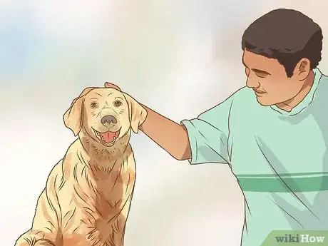 Imagen titulada Deal with Clinginess in Older Dogs Step 7