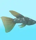 cuidar peces lebistes
