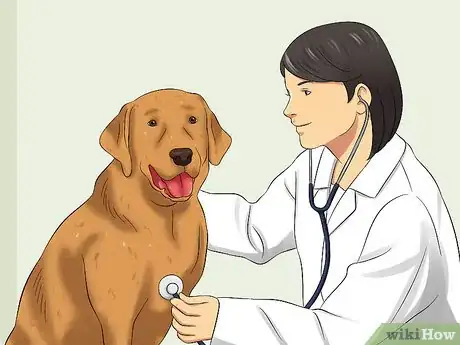 Imagen titulada Treat Hookworms in Dogs Step 6