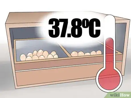 Imagen titulada Breed and Incubate Pheasants Step 12