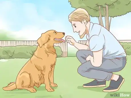 Imagen titulada Teach Your Dog to Jump Step 1