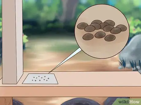 Imagen titulada Grow Flowers from Seed Step 7