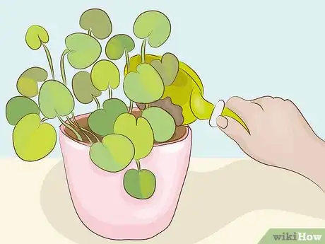 Imagen titulada Compost Indoors Step 12