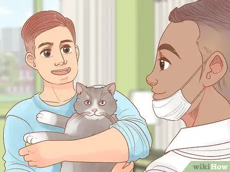 Imagen titulada Treat Hoarseness in Cats Step 1