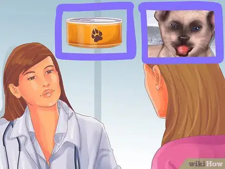 Imagen titulada Care for a Siamese Cat Step 2