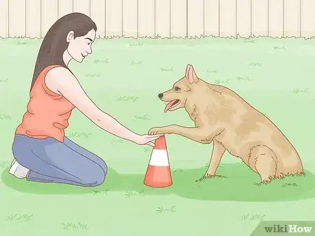 Imagen titulada Stop a Dog from Humping Step 11