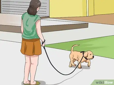 Imagen titulada Train a Golden Retriever Puppy Step 12