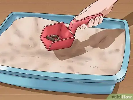 Imagen titulada Clean Your Cat When He Can't Do It Himself Step 21